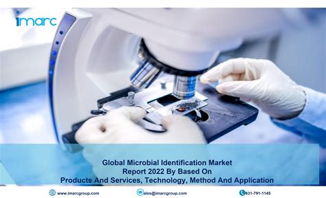 imarcgroup|About Us .